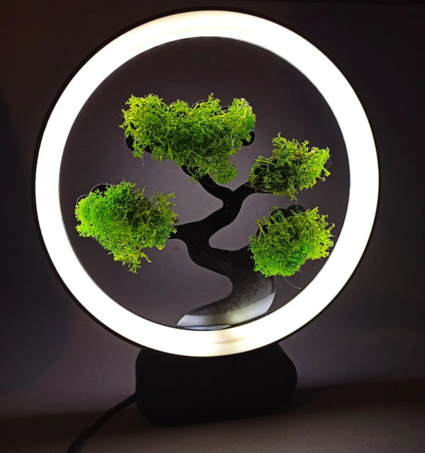 ZenGlow Bonsai Ring Lamp